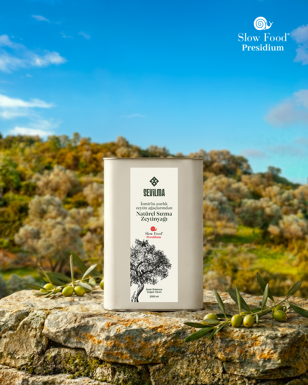 İzmir Erkence Presidium - Görsel 8